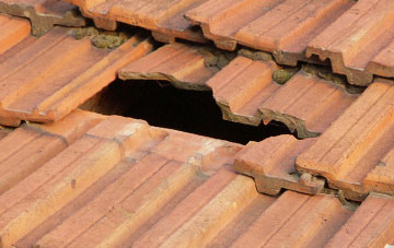 roof repair Eldon, County Durham